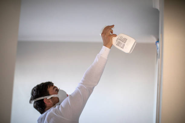 Best Same-Day Mold Removal  in Tompkinsville, KY