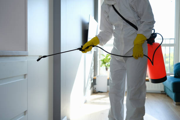 Best Toxic Mold Removal  in Tompkinsville, KY