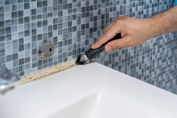 Home Mold Removal in Tompkinsville, KY